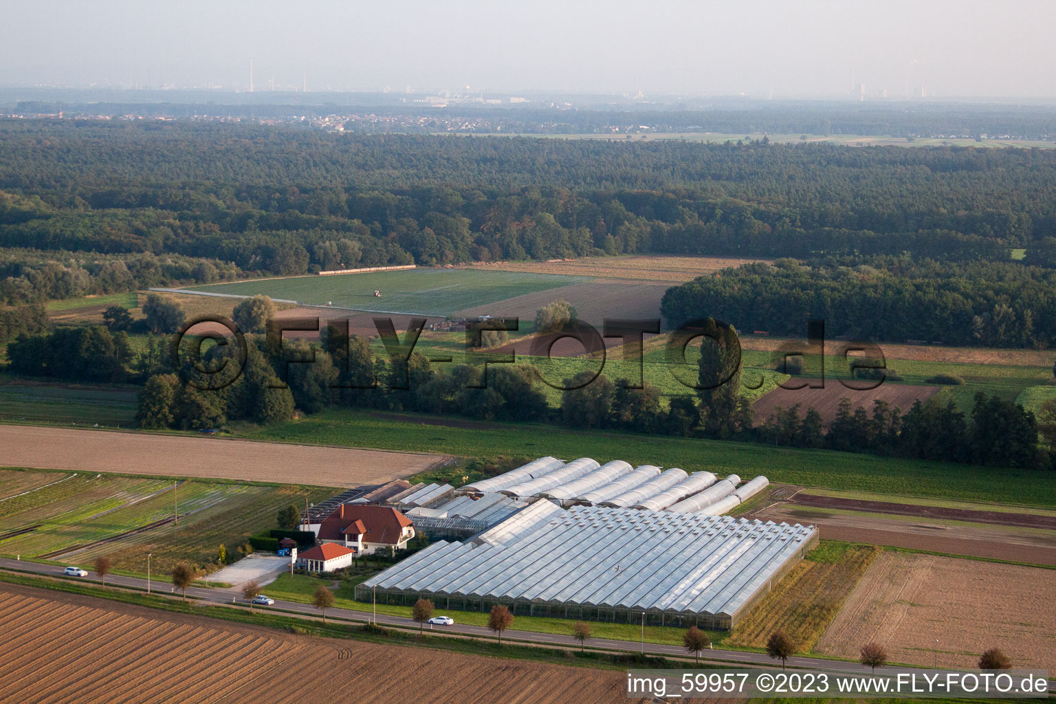 Biogärtnerei zw. Herxheimweyher und Herxheim im Bundesland Rheinland-Pfalz, Deutschland