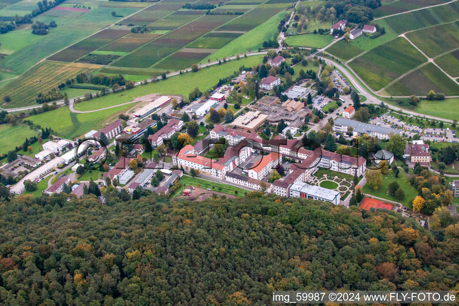 Psyschatrische Landesklinik in Klingenmünster im Bundesland Rheinland-Pfalz, Deutschland von oben