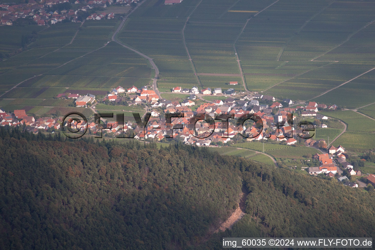 Luftbild von Von Westen in Weyher in der Pfalz im Bundesland Rheinland-Pfalz, Deutschland