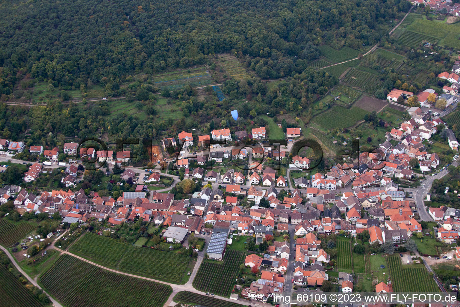 Ortsteil Diedesfeld in Neustadt an der Weinstraße im Bundesland Rheinland-Pfalz, Deutschland von oben gesehen