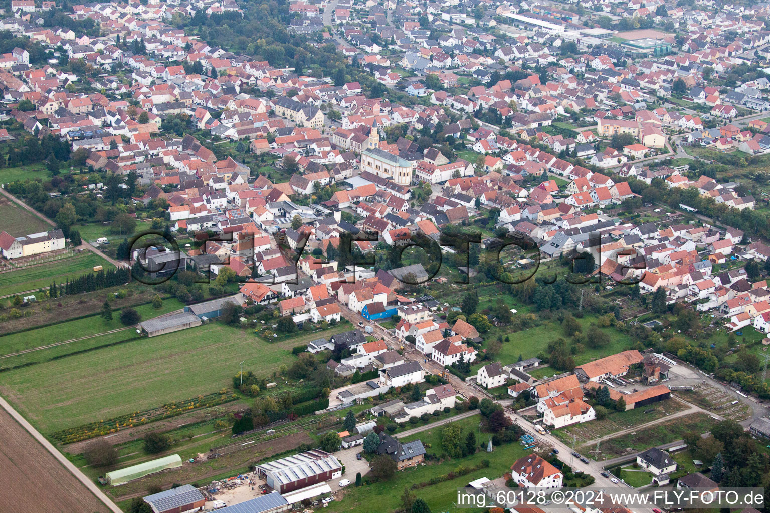 Lingenfeld im Bundesland Rheinland-Pfalz, Deutschland vom Flugzeug aus