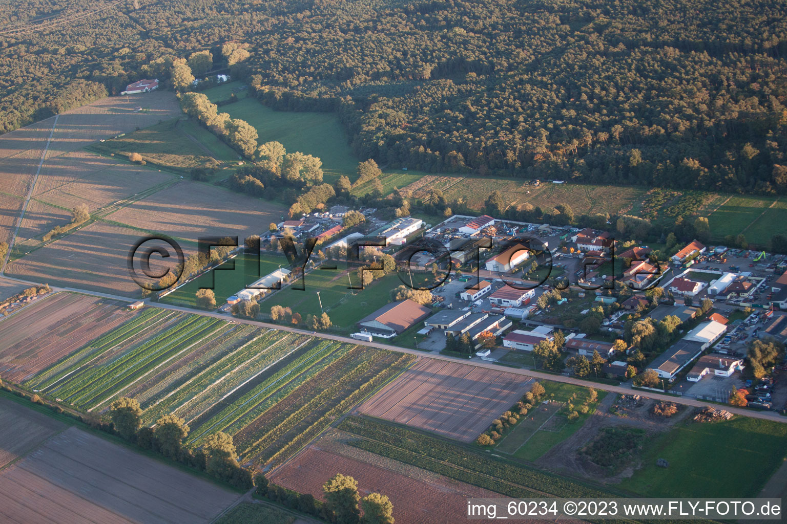 Lustadt im Bundesland Rheinland-Pfalz, Deutschland von der Drohne aus gesehen