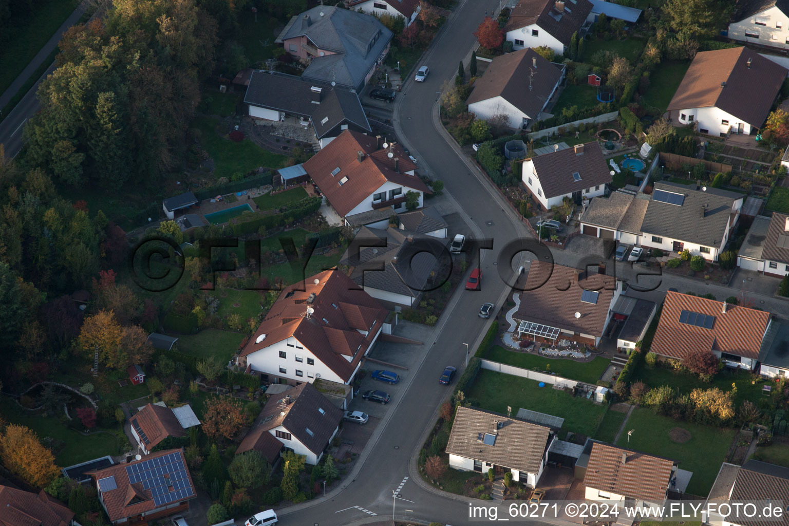 Rülzheim im Bundesland Rheinland-Pfalz, Deutschland von einer Drohne aus