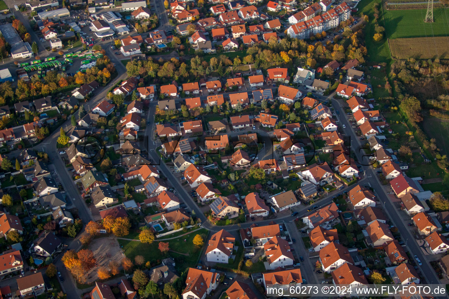 Rülzheim im Bundesland Rheinland-Pfalz, Deutschland aus der Luft