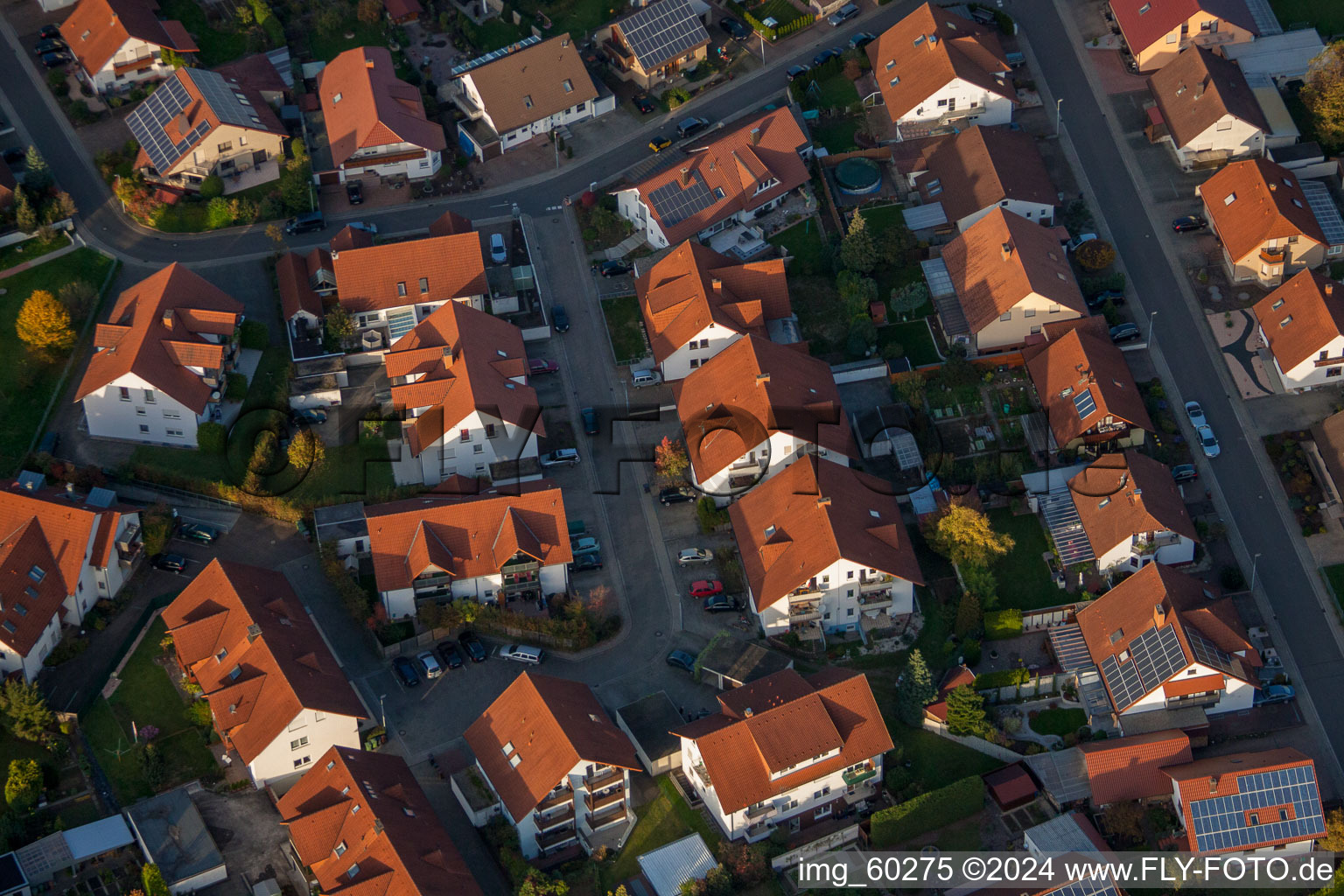 Rülzheim im Bundesland Rheinland-Pfalz, Deutschland vom Flugzeug aus