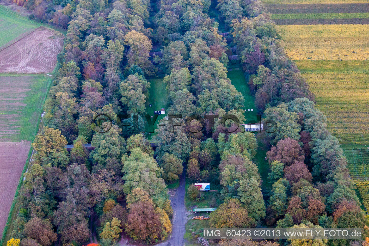 Luftbild von Insheim im Bundesland Rheinland-Pfalz, Deutschland