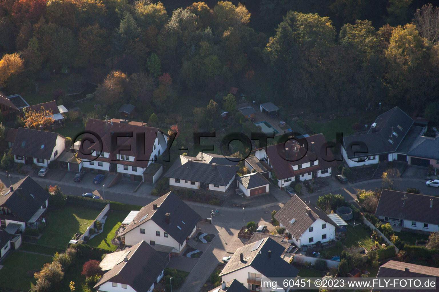 Rülzheim-S im Bundesland Rheinland-Pfalz, Deutschland von oben gesehen
