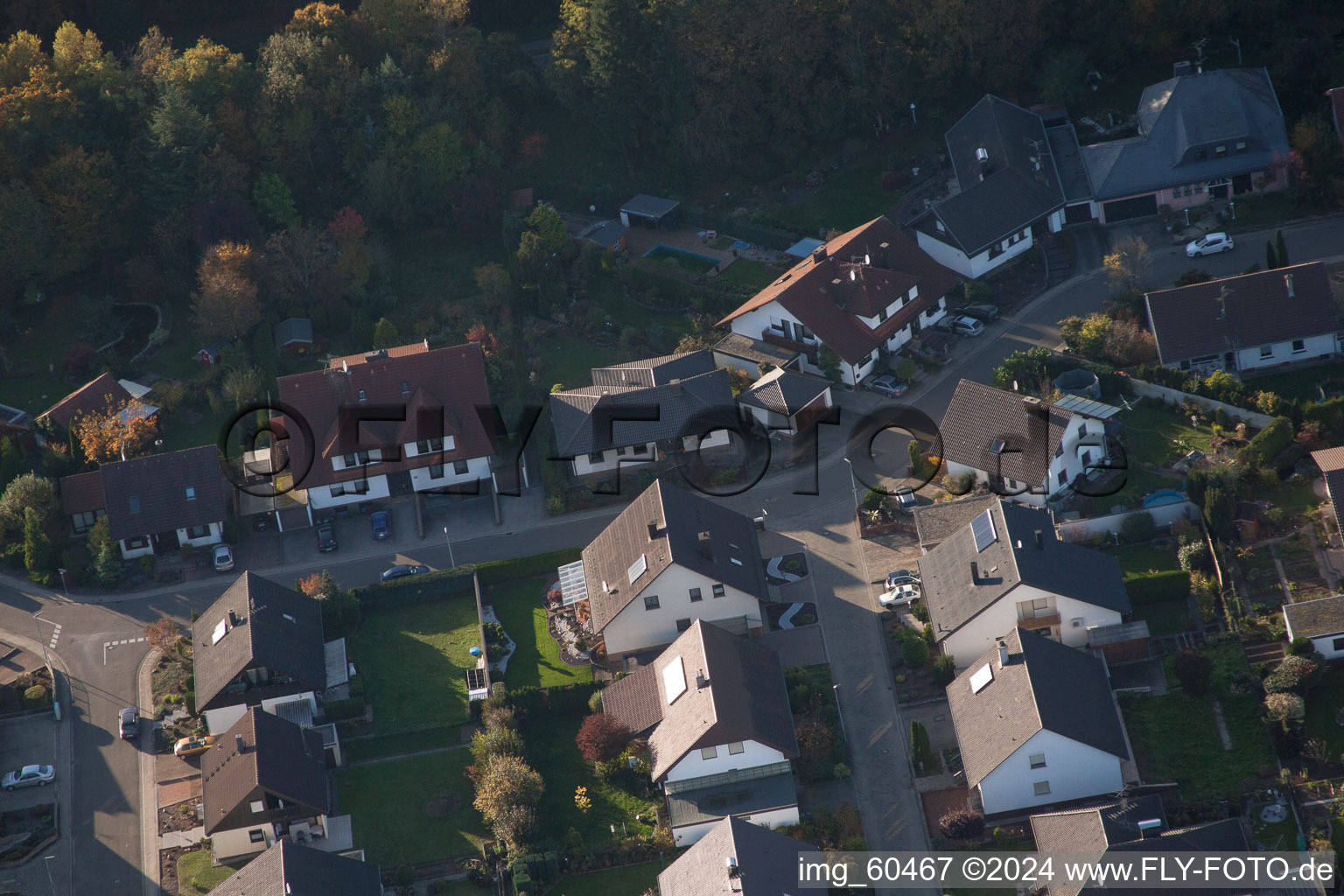 Rülzheim-S im Bundesland Rheinland-Pfalz, Deutschland von oben