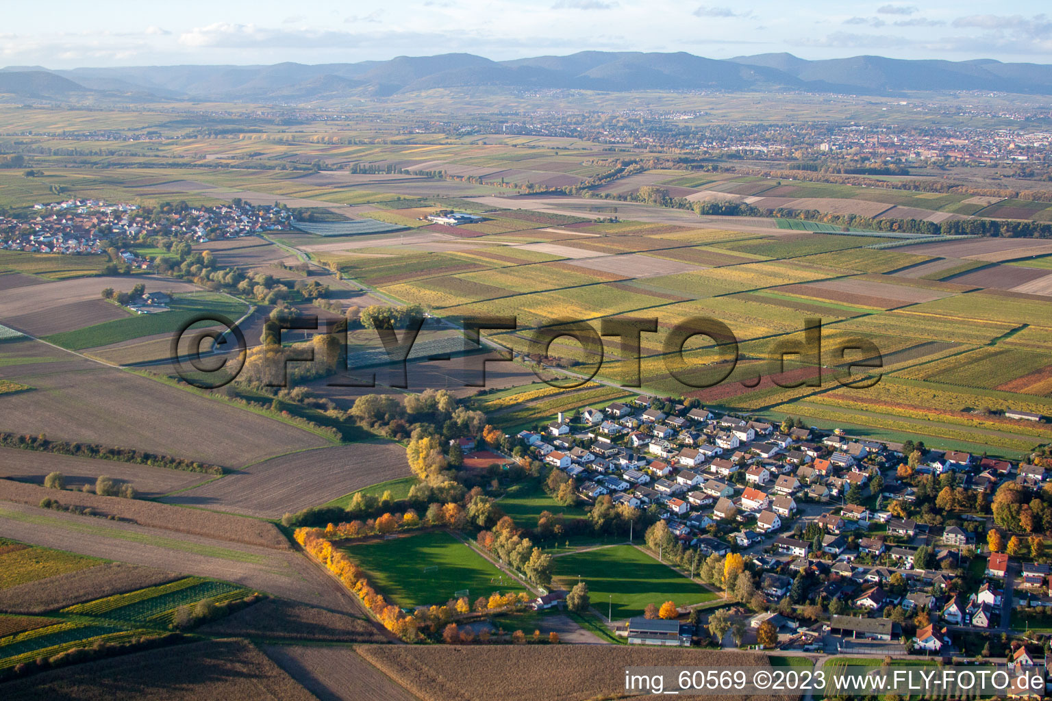 Insheim im Bundesland Rheinland-Pfalz, Deutschland aus der Luft betrachtet