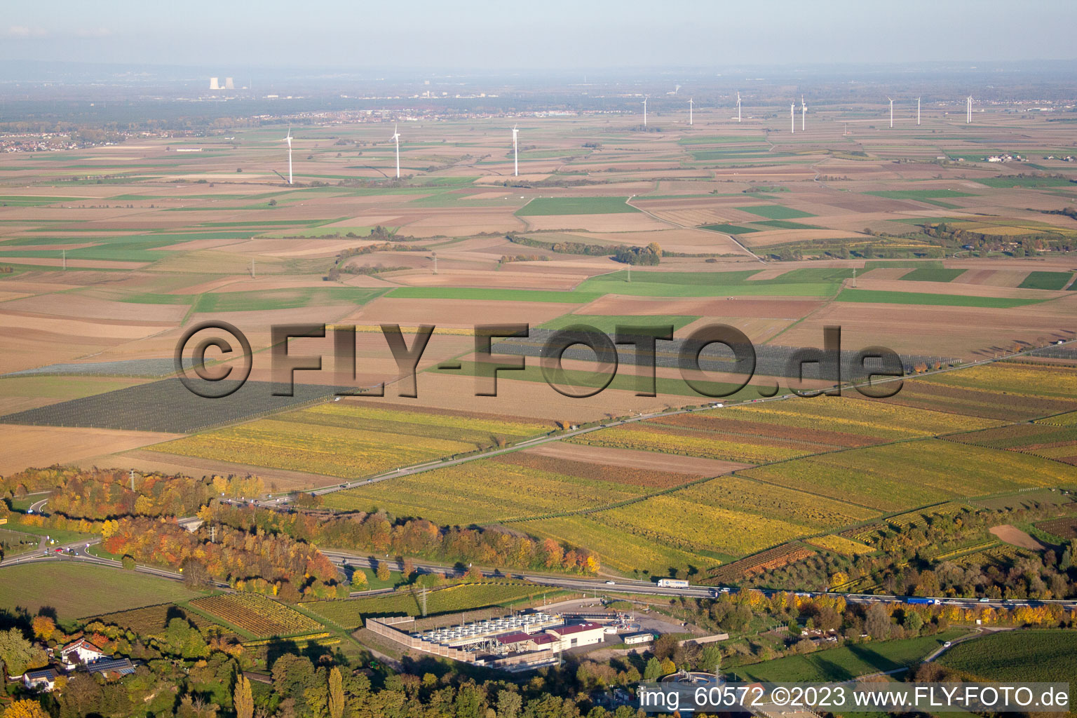 Insheim im Bundesland Rheinland-Pfalz, Deutschland aus der Drohnenperspektive