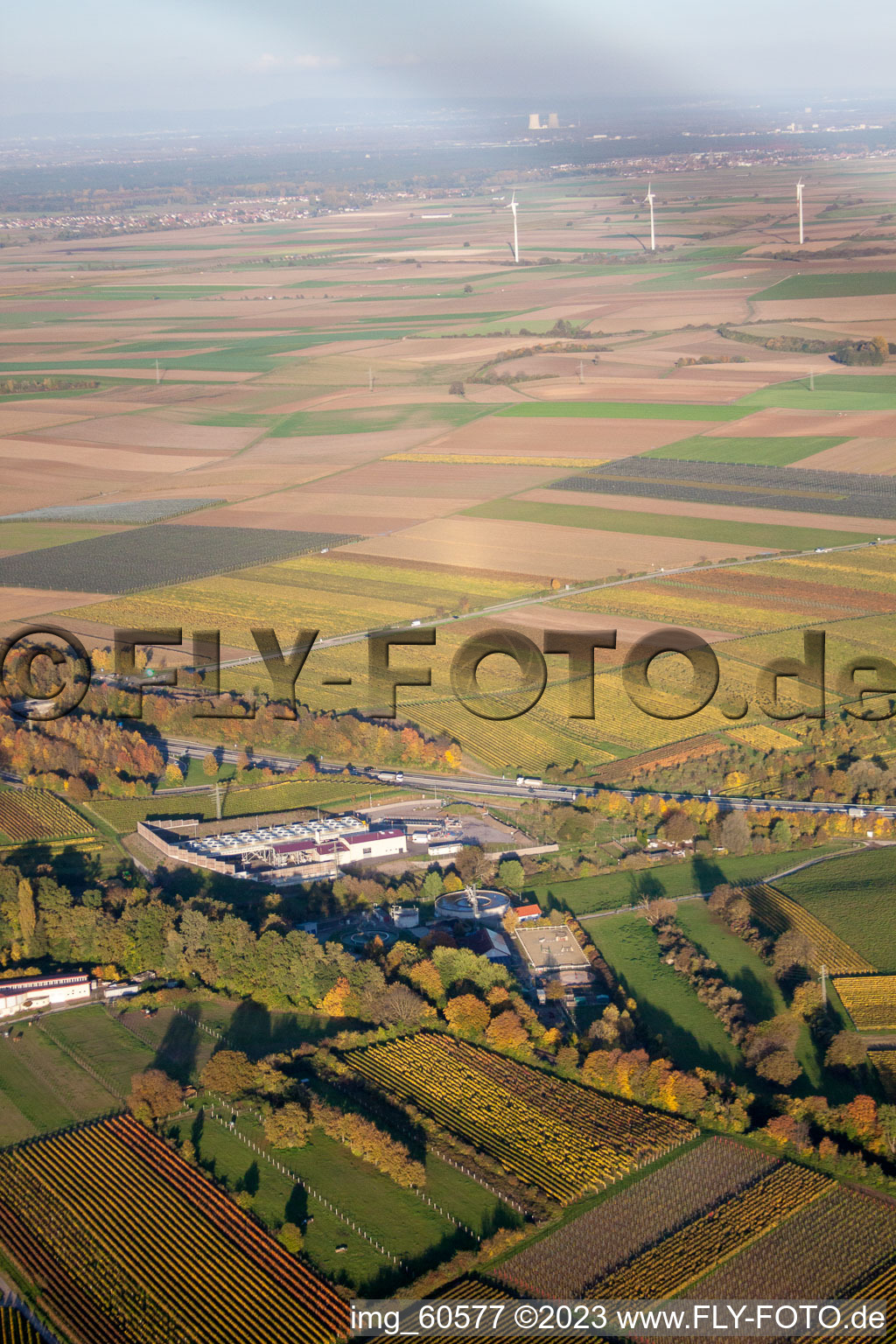 Insheim im Bundesland Rheinland-Pfalz, Deutschland von einer Drohne aus