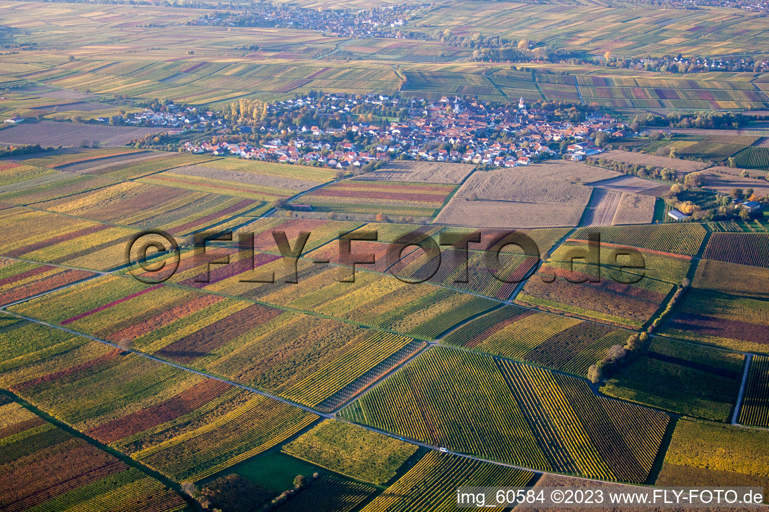 Ortsteil Mörzheim in Landau in der Pfalz im Bundesland Rheinland-Pfalz, Deutschland aus der Luft betrachtet