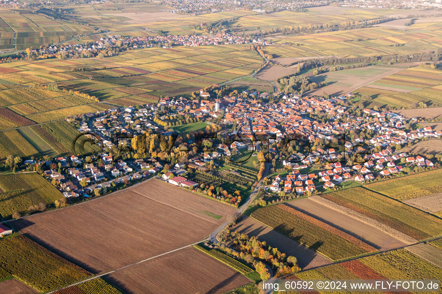 Schrägluftbild von Dorfansicht im Ortsteil Mörzheim in Landau in der Pfalz im Bundesland Rheinland-Pfalz, Deutschland