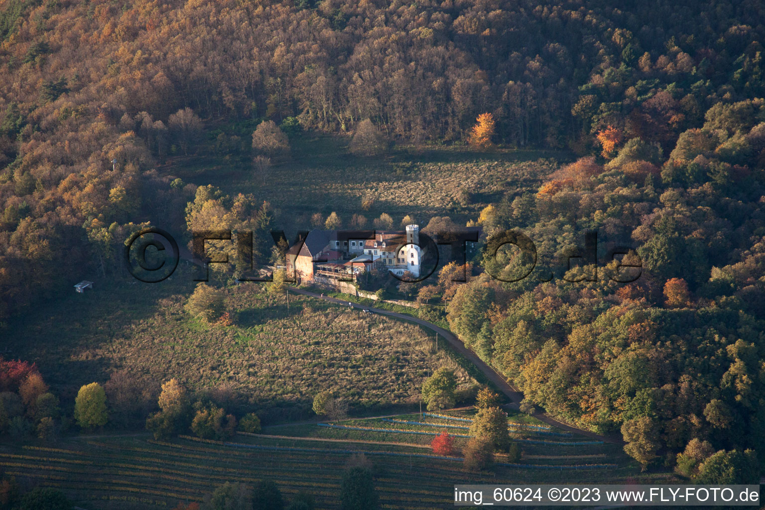 Luftbild von Leinsweiler, Slevogt-Hof im Bundesland Rheinland-Pfalz, Deutschland