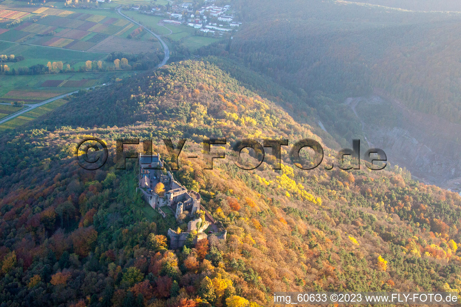 Eschbach, Madenburg im Bundesland Rheinland-Pfalz, Deutschland vom Flugzeug aus