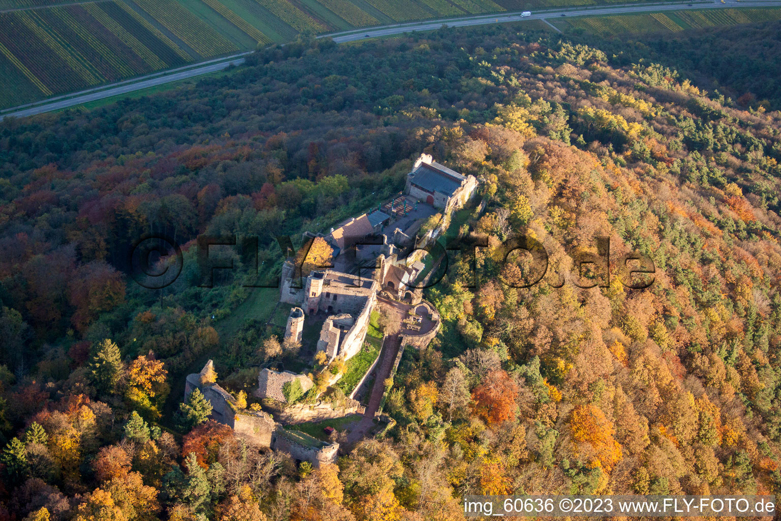 Eschbach, Madenburg im Bundesland Rheinland-Pfalz, Deutschland aus der Luft betrachtet