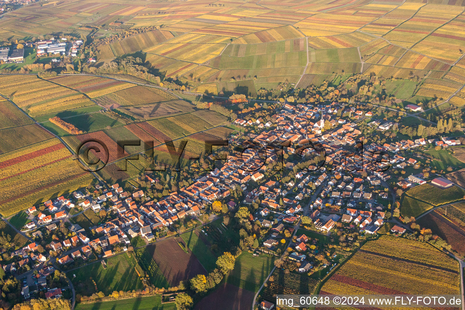 Luftbild von Herbstliche Dorf - Ansicht im Abendlicht am Rande von Feldern in Göcklingen im Bundesland Rheinland-Pfalz, Deutschland