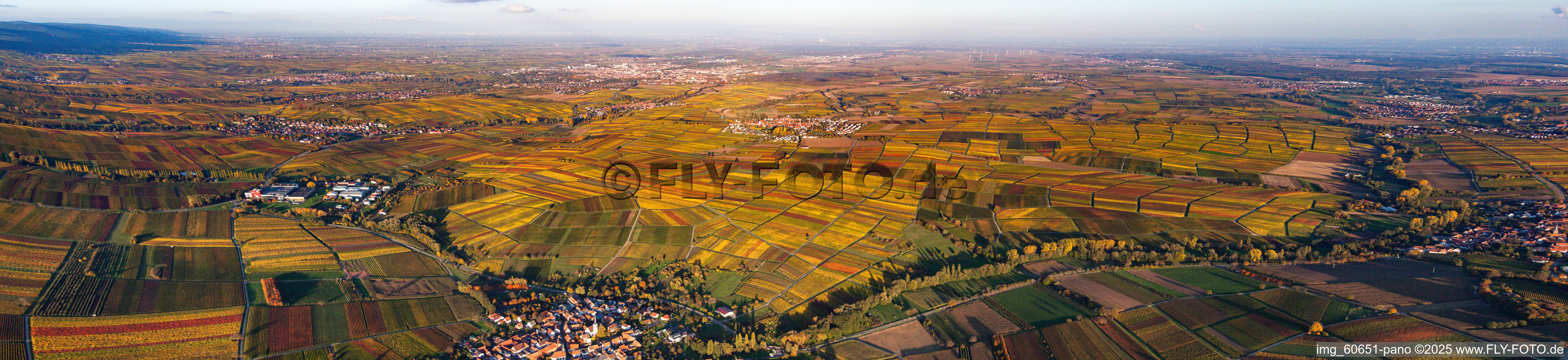 Panorama der Weinberge der südlichen Weinstraße von Heuchelheim bis Landau in Göcklingen im Bundesland Rheinland-Pfalz, Deutschland