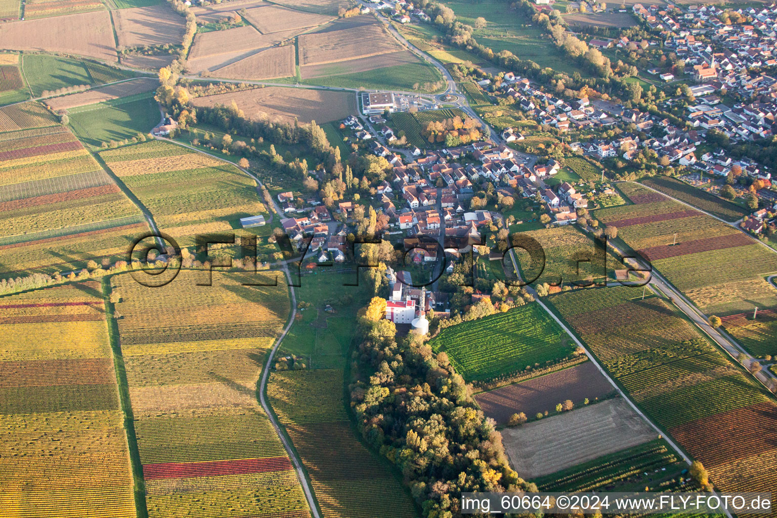 Dorf - Ansicht am Rande von landwirtschaftlichen Feldern und Nutzflächen im Ortsteil Appenhofen in Billigheim-Ingenheim im Bundesland Rheinland-Pfalz, Deutschland