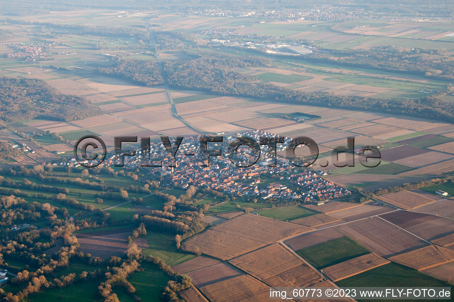 Steinweiler im Bundesland Rheinland-Pfalz, Deutschland aus der Vogelperspektive