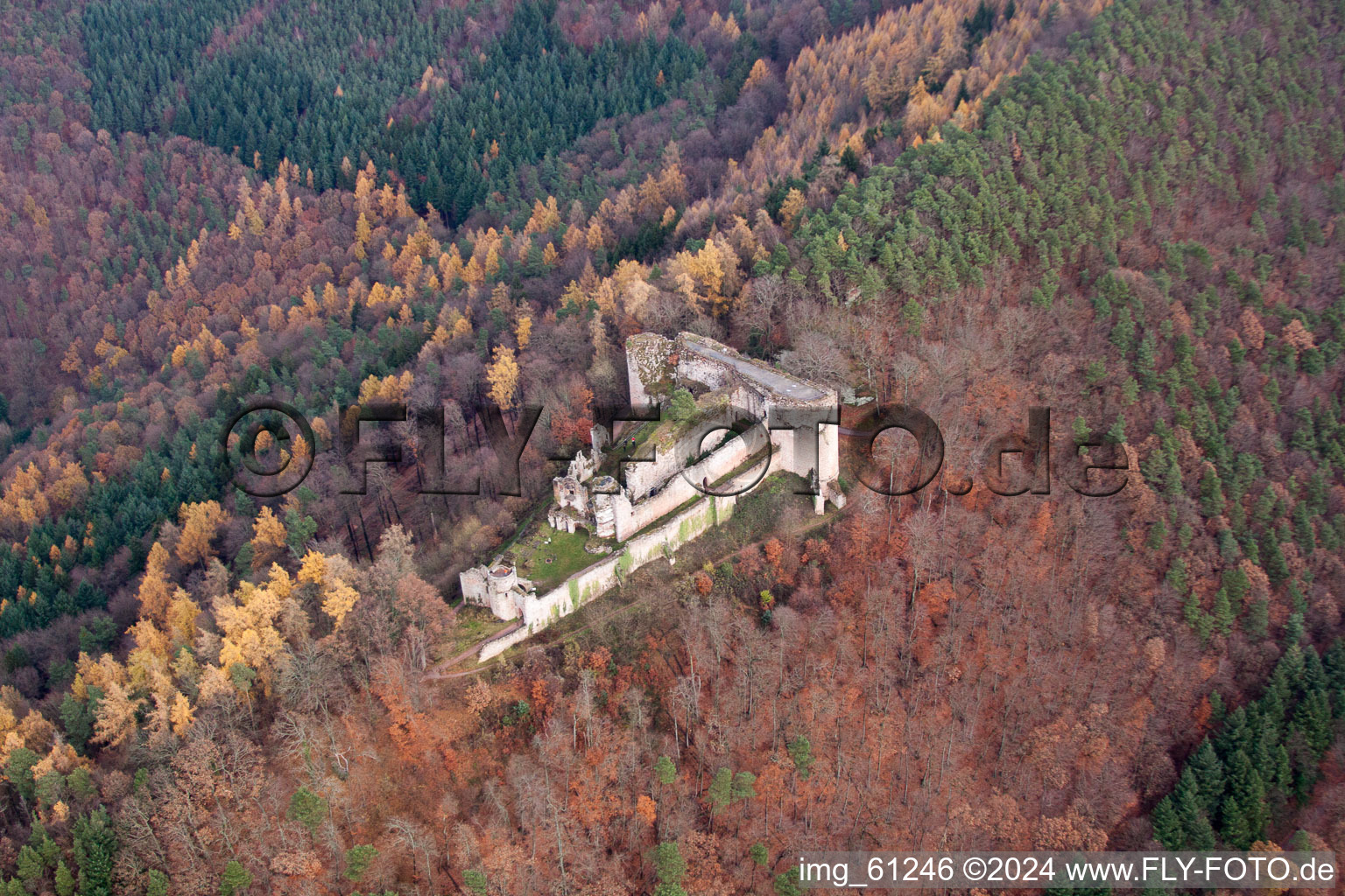 Luftbild von Ruine und Mauerreste der ehemaligen Burganlage und Feste Burg Neuscharfeneck in Dernbach im Bundesland Rheinland-Pfalz, Deutschland