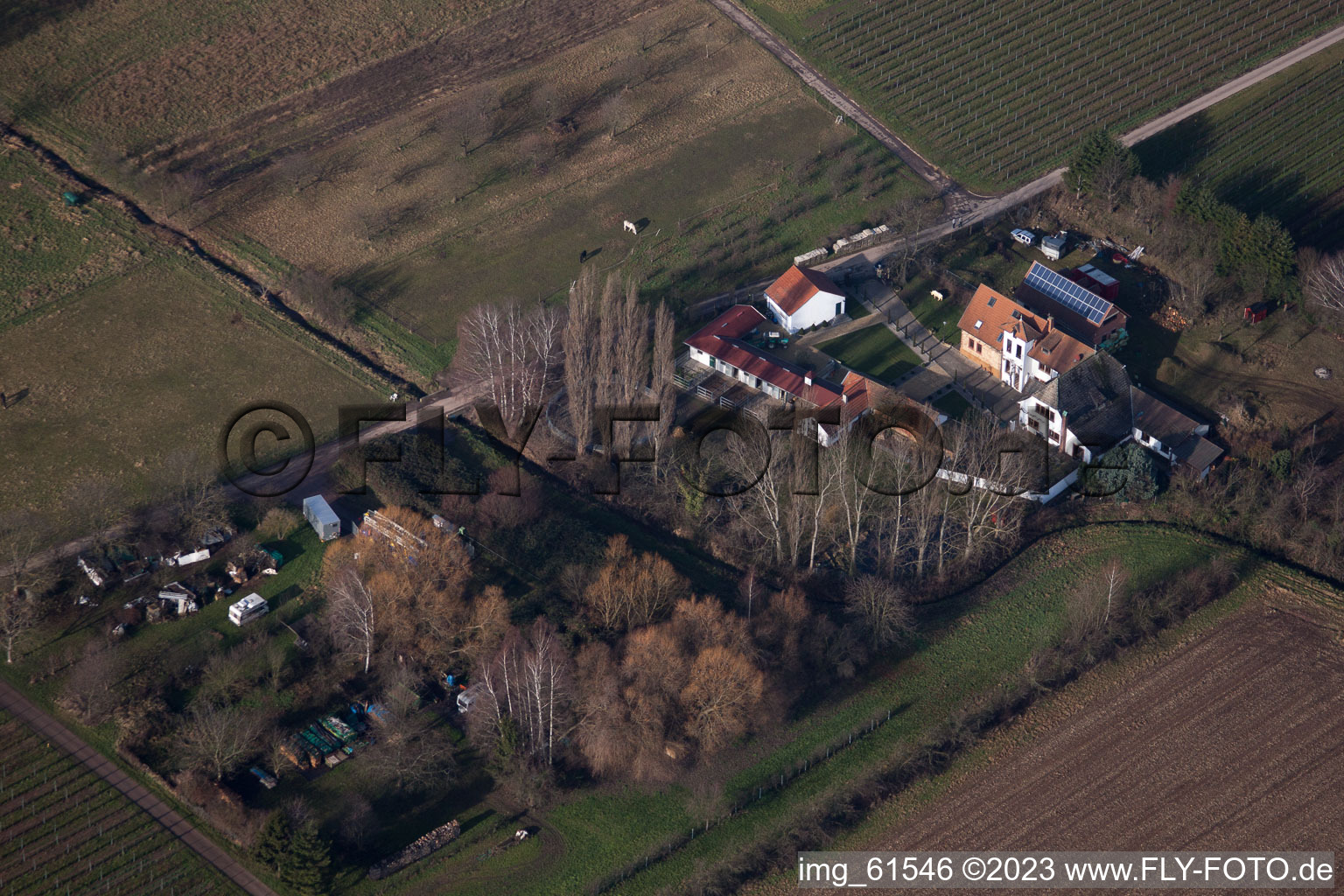 Walsheim im Bundesland Rheinland-Pfalz, Deutschland aus der Luft betrachtet