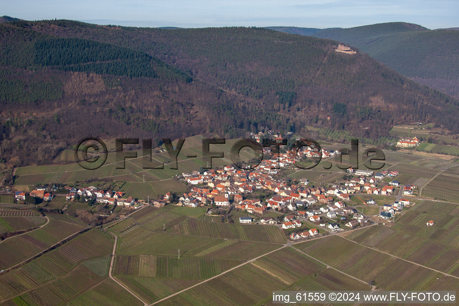 Luftaufnahme von Weinbergs- Landschaft der Pfälzer Weinstraße bei Weyher in der Pfalz im Bundesland Rheinland-Pfalz, Deutschland