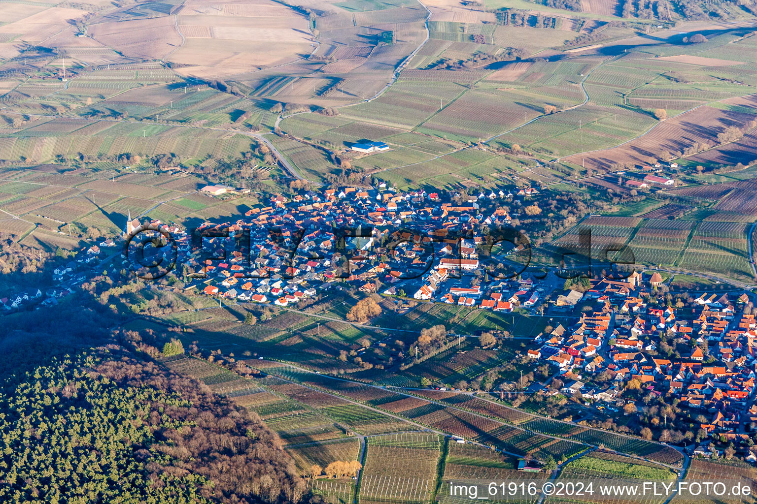 Dorf - Ansicht am Rande von Weinbergen und Wald in Rechtenbach in Schweigen-Rechtenbach im Bundesland Rheinland-Pfalz, Deutschland von oben