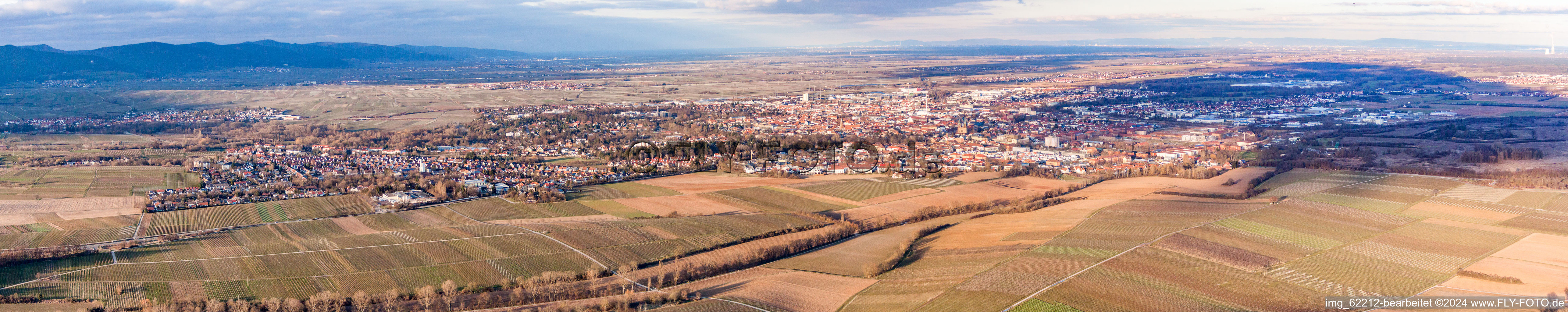 Luftbild von Panorama Perspektive Stadtgebiet mit Außenbezirken und Innenstadtbereich in Landau in der Pfalz im Bundesland Rheinland-Pfalz, Deutschland