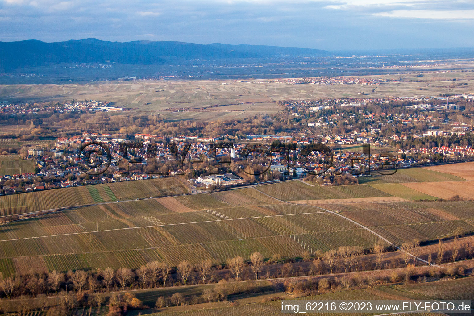 Landau von Westen in Landau in der Pfalz im Bundesland Rheinland-Pfalz, Deutschland von der Drohne aus gesehen