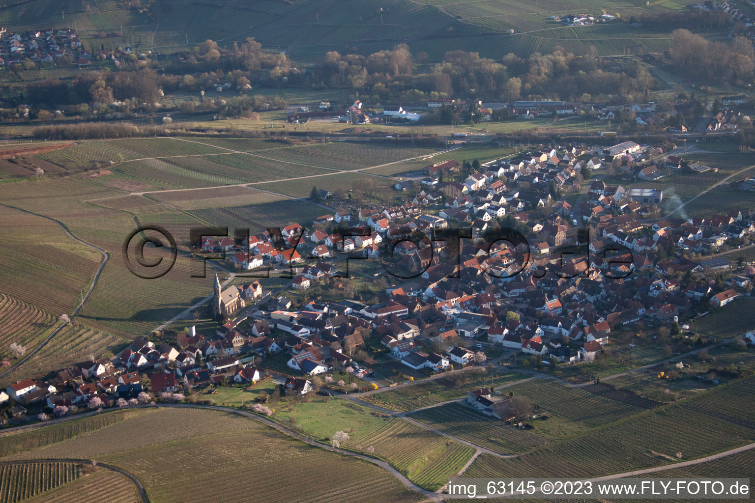 Birkweiler im Bundesland Rheinland-Pfalz, Deutschland aus der Drohnenperspektive
