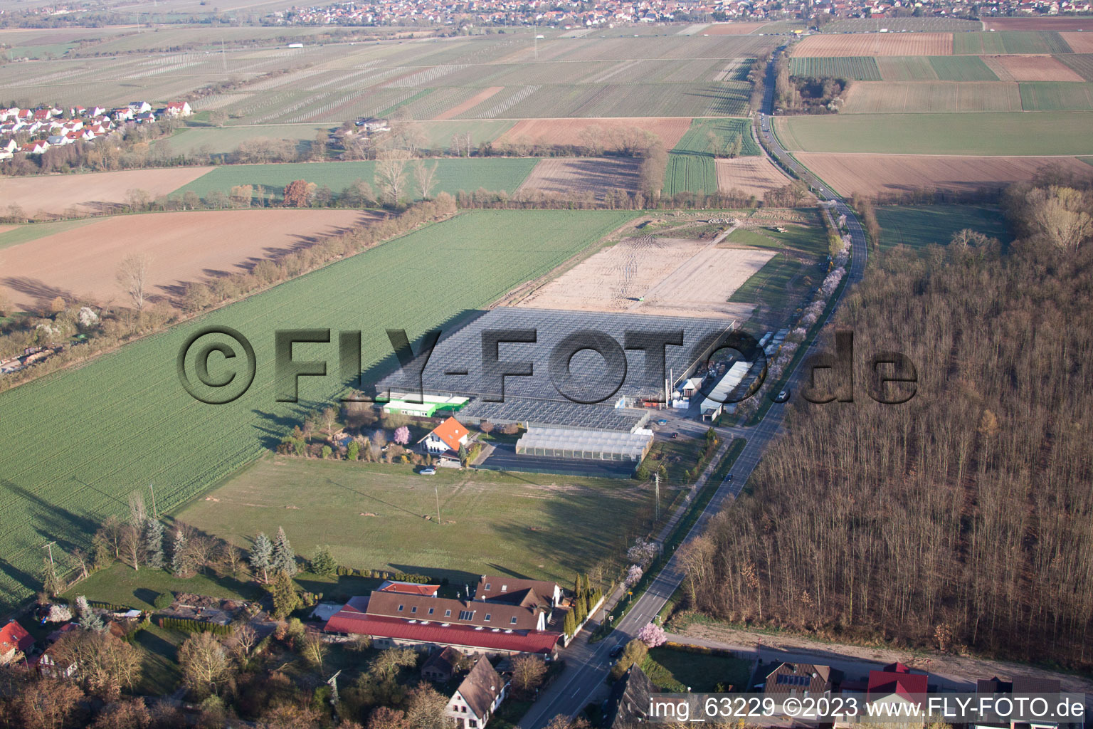 Essingen im Bundesland Rheinland-Pfalz, Deutschland aus der Luft betrachtet