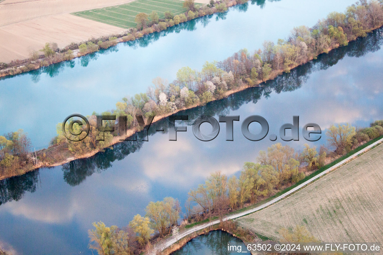 Uferbereiche am Fluß Altrhein in Neupotz im Bundesland Rheinland-Pfalz, Deutschland