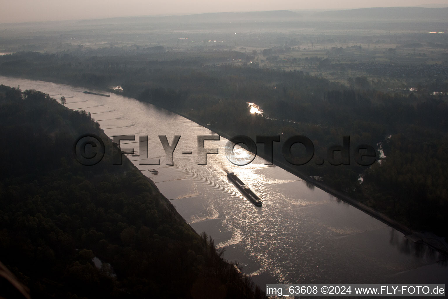 Uferbereiche am Flußverlauf Rhein in Lauterbourg in Grand Est im Bundesland Bas-Rhin, Frankreich