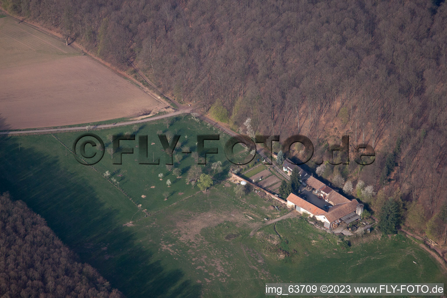 Luftbild von Niederbronn-les-Bains, Villa Riessack im Bundesland Bas-Rhin, Frankreich