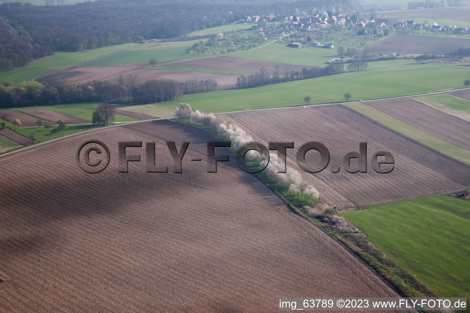 Schrägluftbild von Surbourg im Bundesland Bas-Rhin, Frankreich