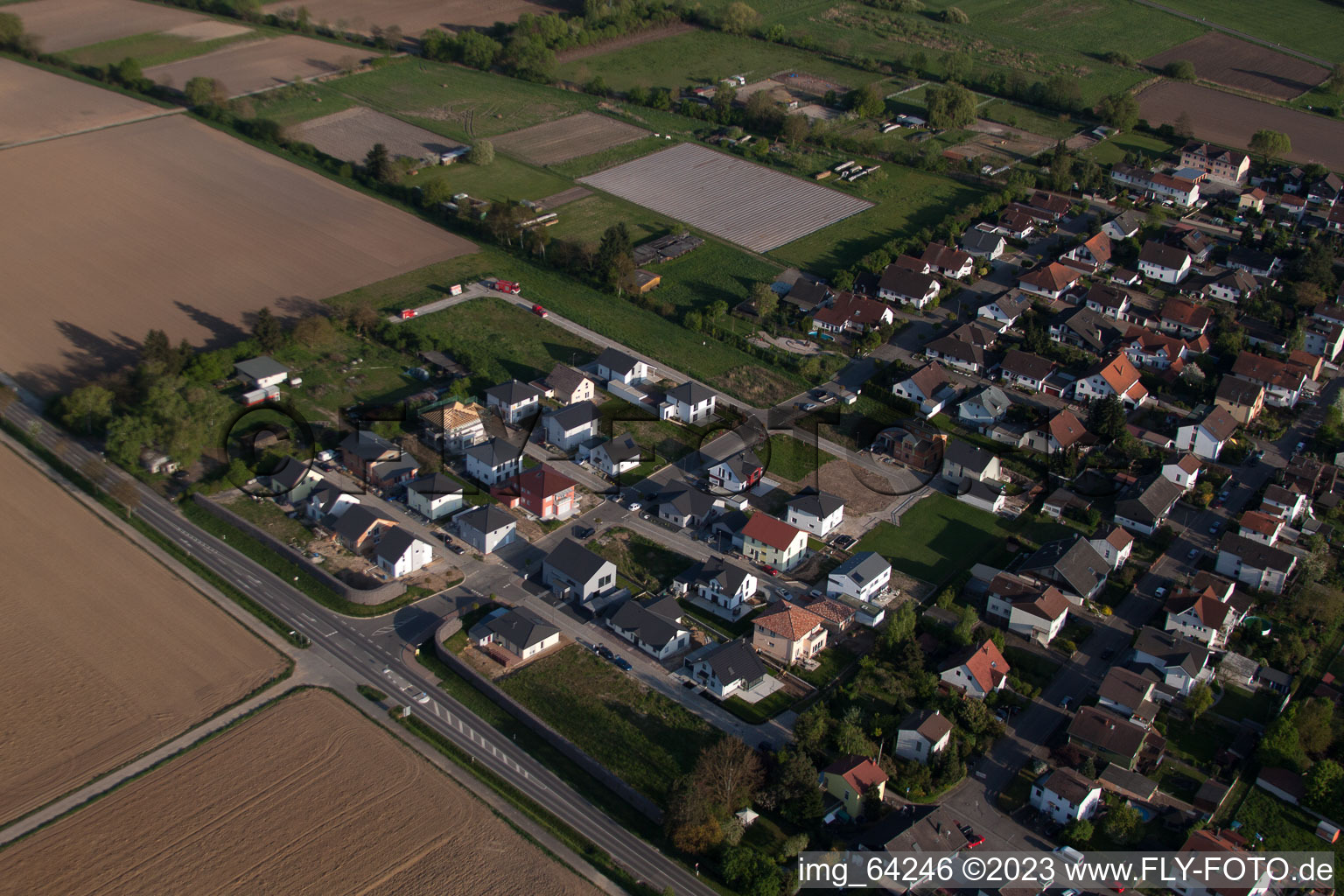 Minfeld, Neubaugebiet Ost im Bundesland Rheinland-Pfalz, Deutschland aus der Drohnenperspektive