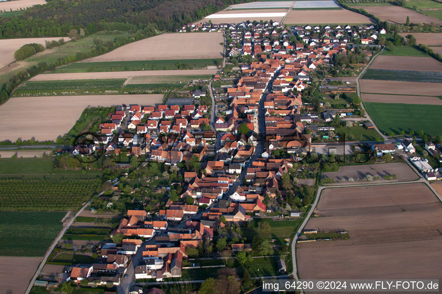 Luftaufnahme von Von Westen in Erlenbach bei Kandel im Bundesland Rheinland-Pfalz, Deutschland