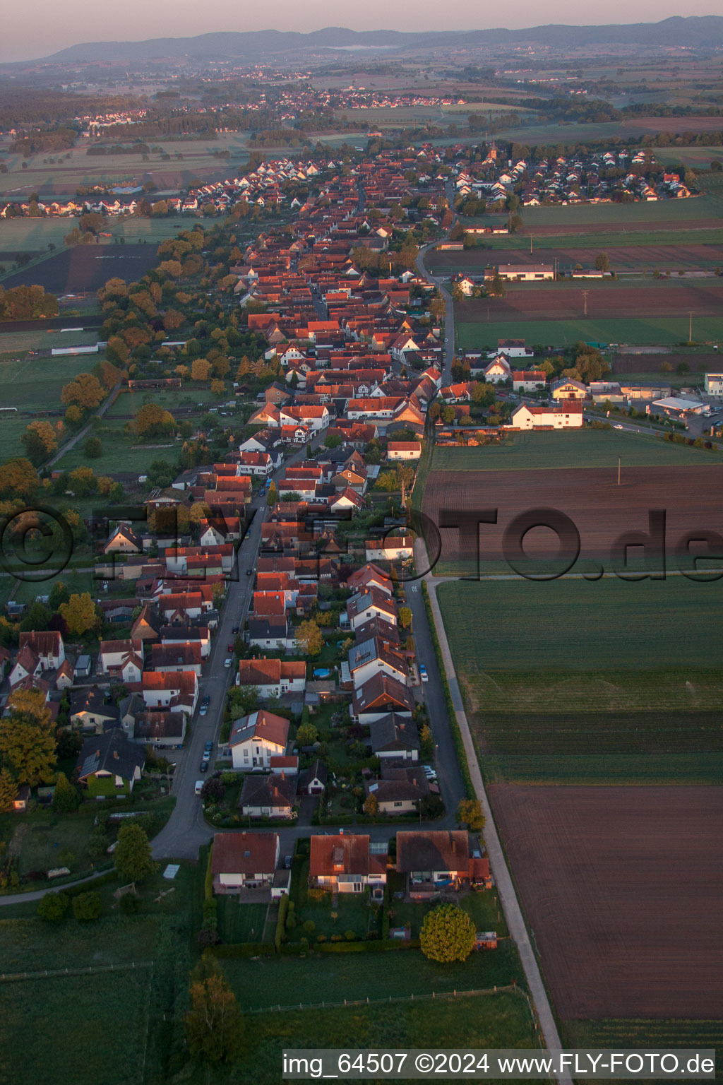 Dorf - Ansicht am Rande von landwirtschaftlichen Feldern und Nutzflächen in Freckenfeld im Bundesland Rheinland-Pfalz, Deutschland von oben