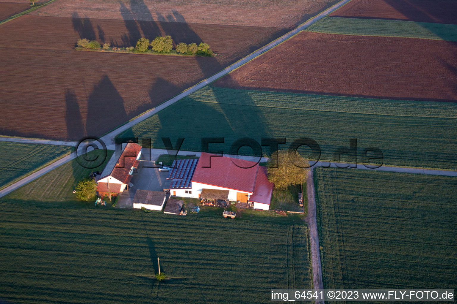 Drohnenbild von Billigheim-Ingenheim im Bundesland Rheinland-Pfalz, Deutschland