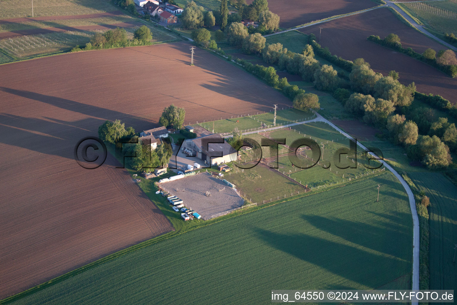 Luftaufnahme von Impflingen im Bundesland Rheinland-Pfalz, Deutschland