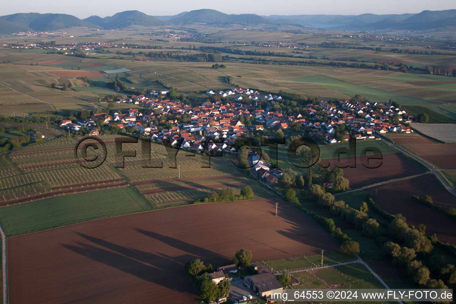 Impflingen im Bundesland Rheinland-Pfalz, Deutschland von oben