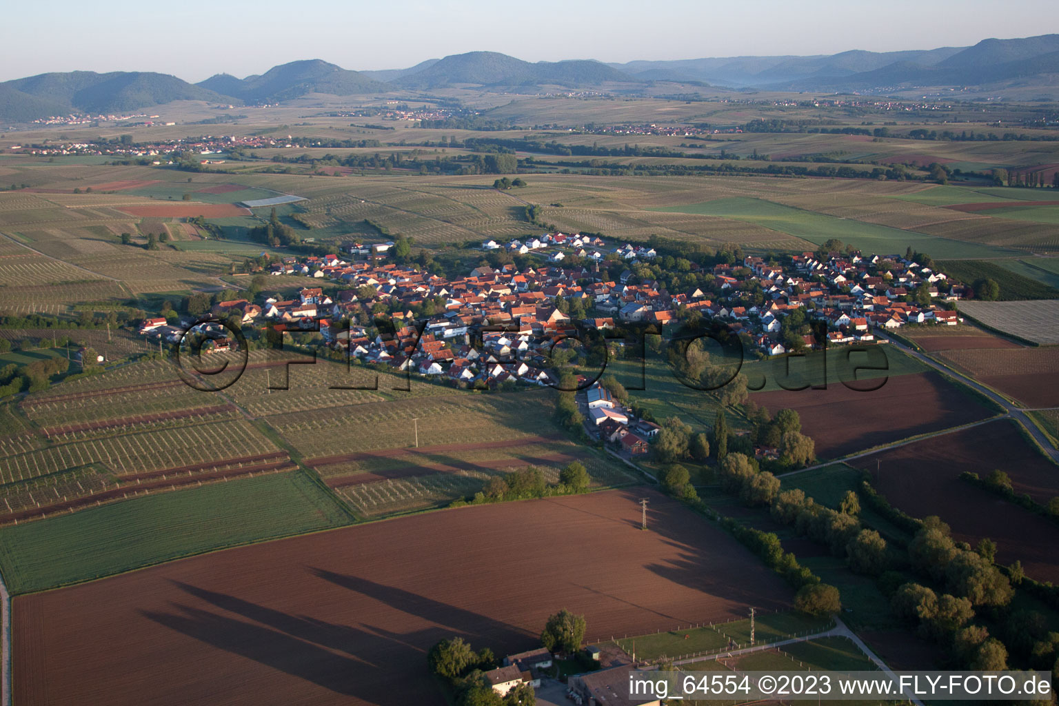 Impflingen im Bundesland Rheinland-Pfalz, Deutschland aus der Luft