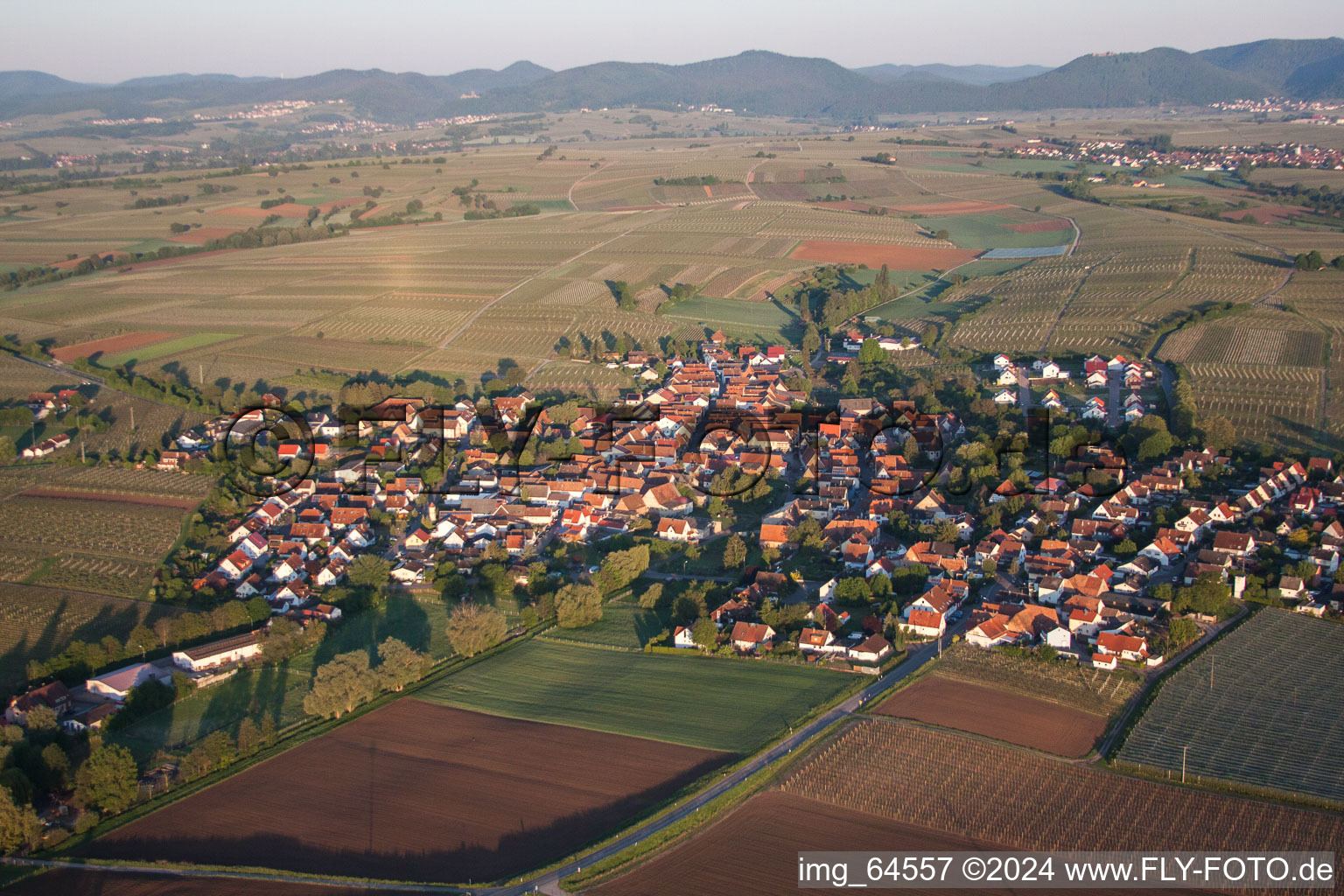 Impflingen im Bundesland Rheinland-Pfalz, Deutschland aus der Vogelperspektive