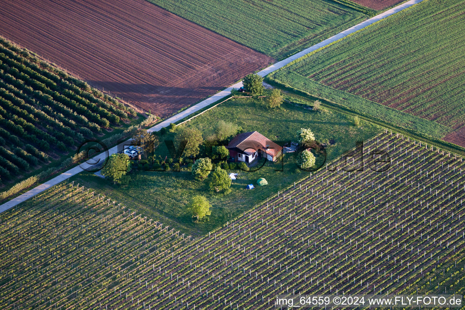 Drohnenaufname von Impflingen im Bundesland Rheinland-Pfalz, Deutschland