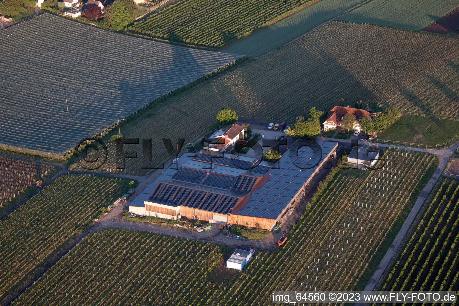 Drohnenbild von Impflingen im Bundesland Rheinland-Pfalz, Deutschland