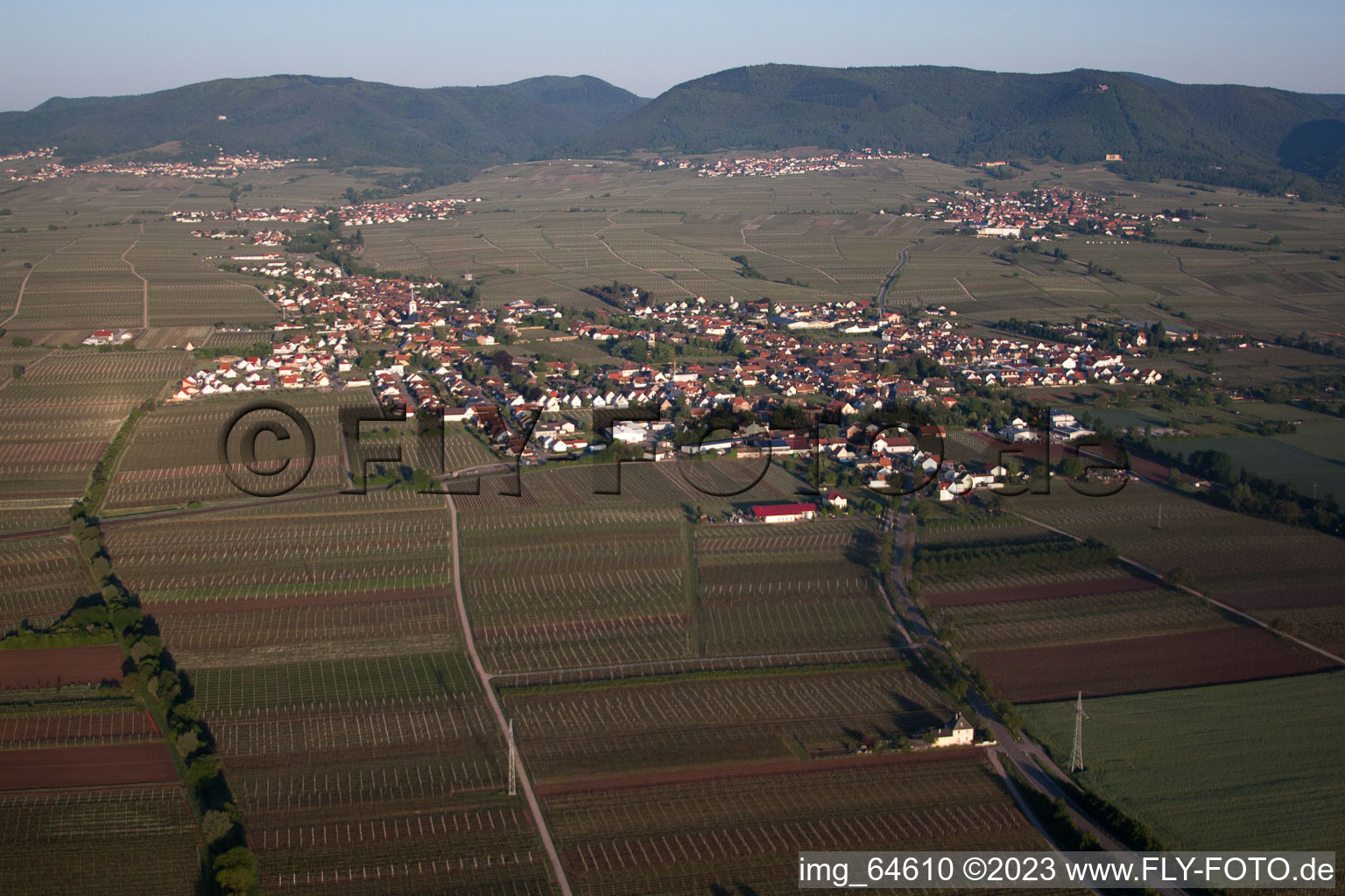 Stadtansicht am Morgen aus Osten in Edesheim im Bundesland Rheinland-Pfalz, Deutschland