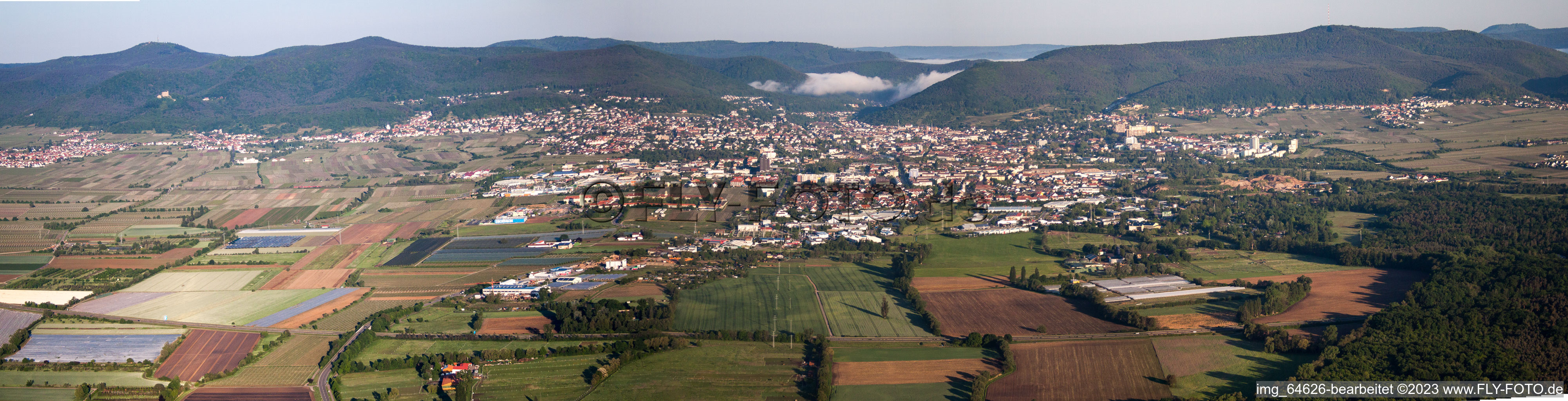 Luftbild von Panorama mit Morgennebel vom Ortsbereich und der Umgebung in Neustadt an der Weinstraße im Bundesland Rheinland-Pfalz, Deutschland