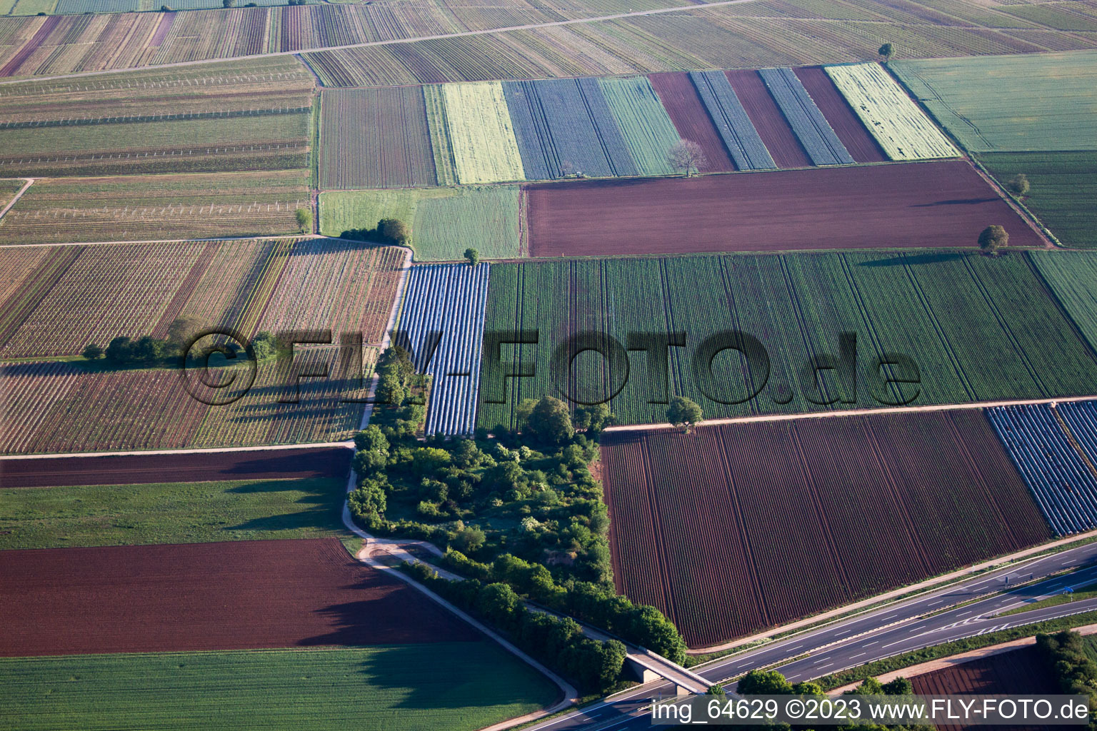 Ortsteil Mußbach in Neustadt an der Weinstraße im Bundesland Rheinland-Pfalz, Deutschland aus der Drohnenperspektive