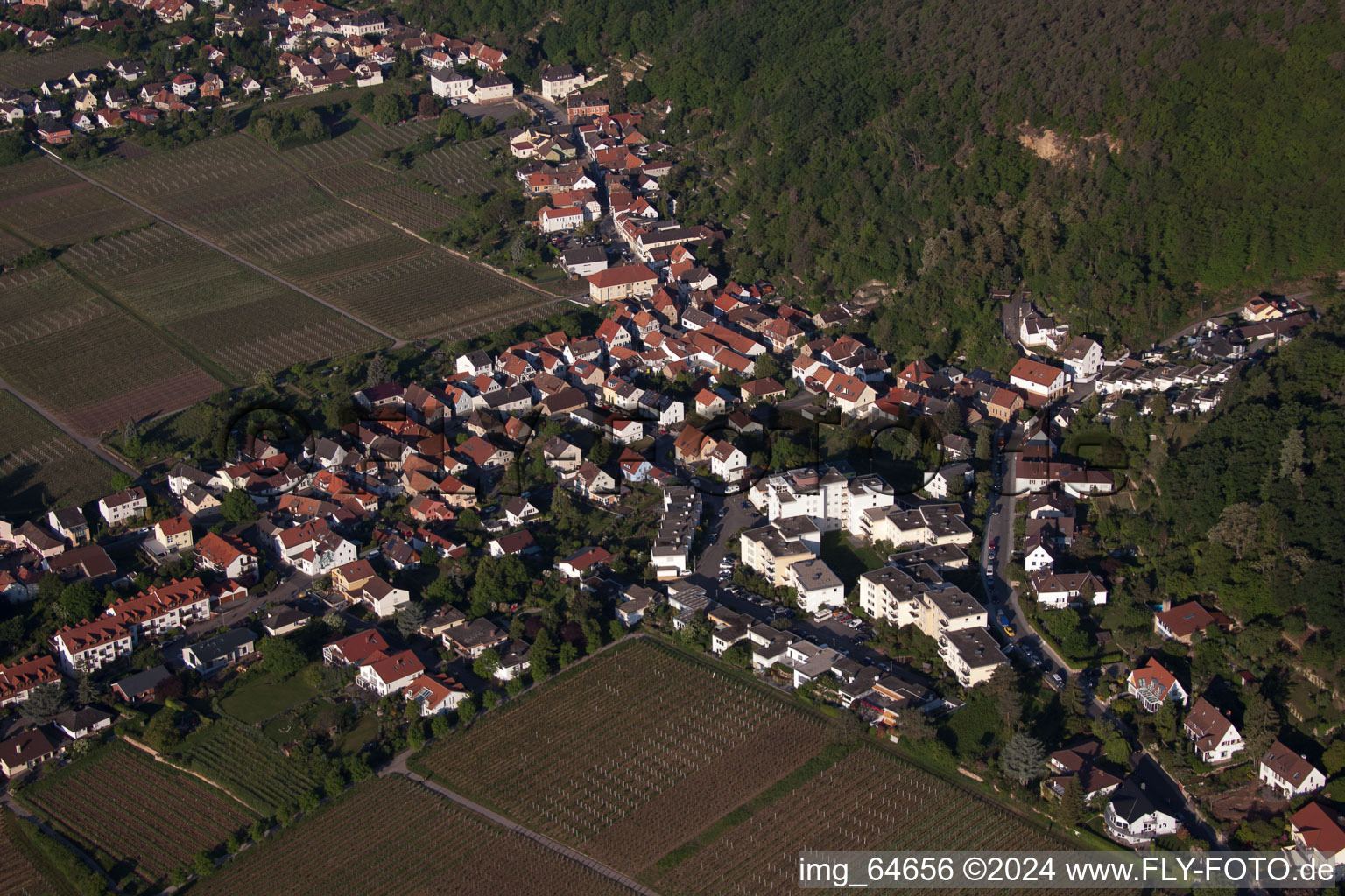 Dorf - Ansicht am Rande von landwirtschaftlichen Feldern und Nutzflächen im Ortsteil Haardt in Neustadt an der Weinstraße im Bundesland Rheinland-Pfalz, Deutschland